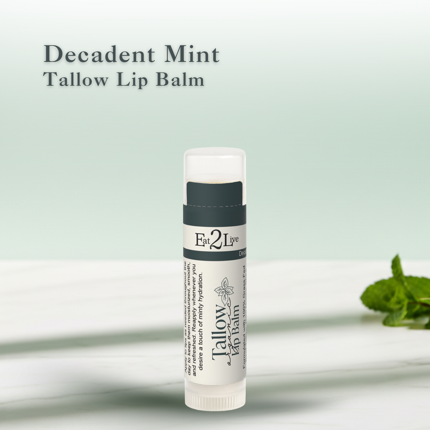 Decadent Mint Lip Balm - Eat 2 Live