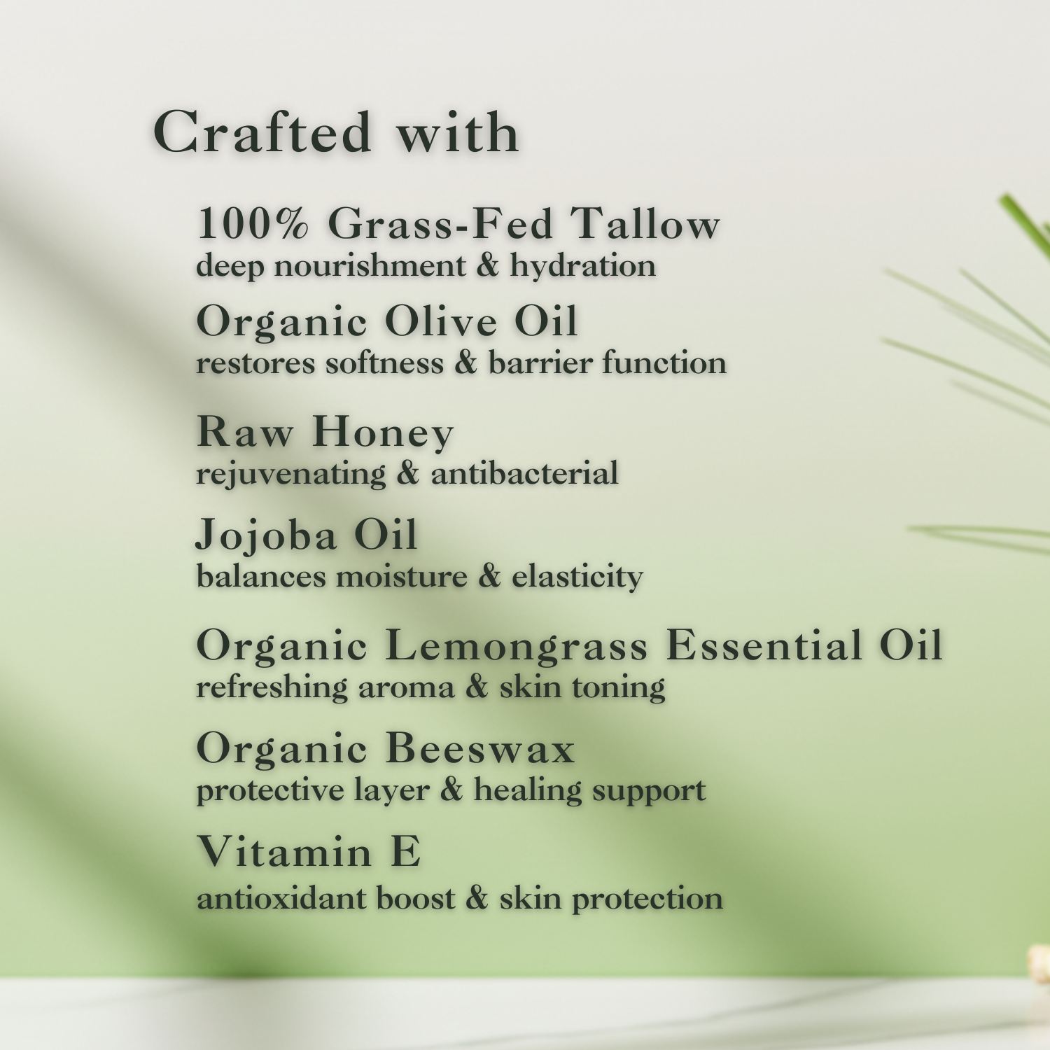 Lemon Grass Love Tallow Balm - Eat 2 Live