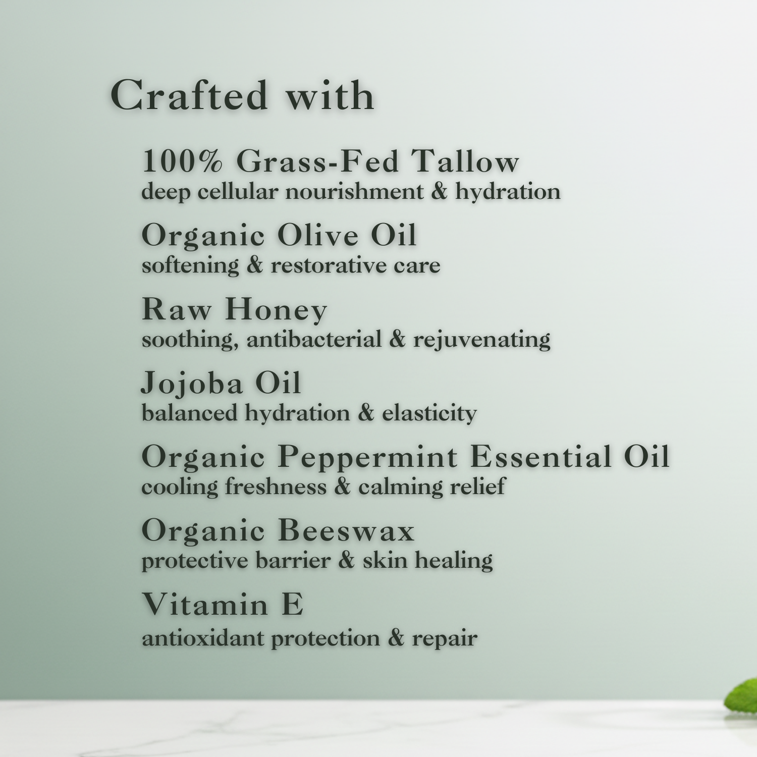 Minty Oasis Whipped Tallow Balm - Eat 2 Live