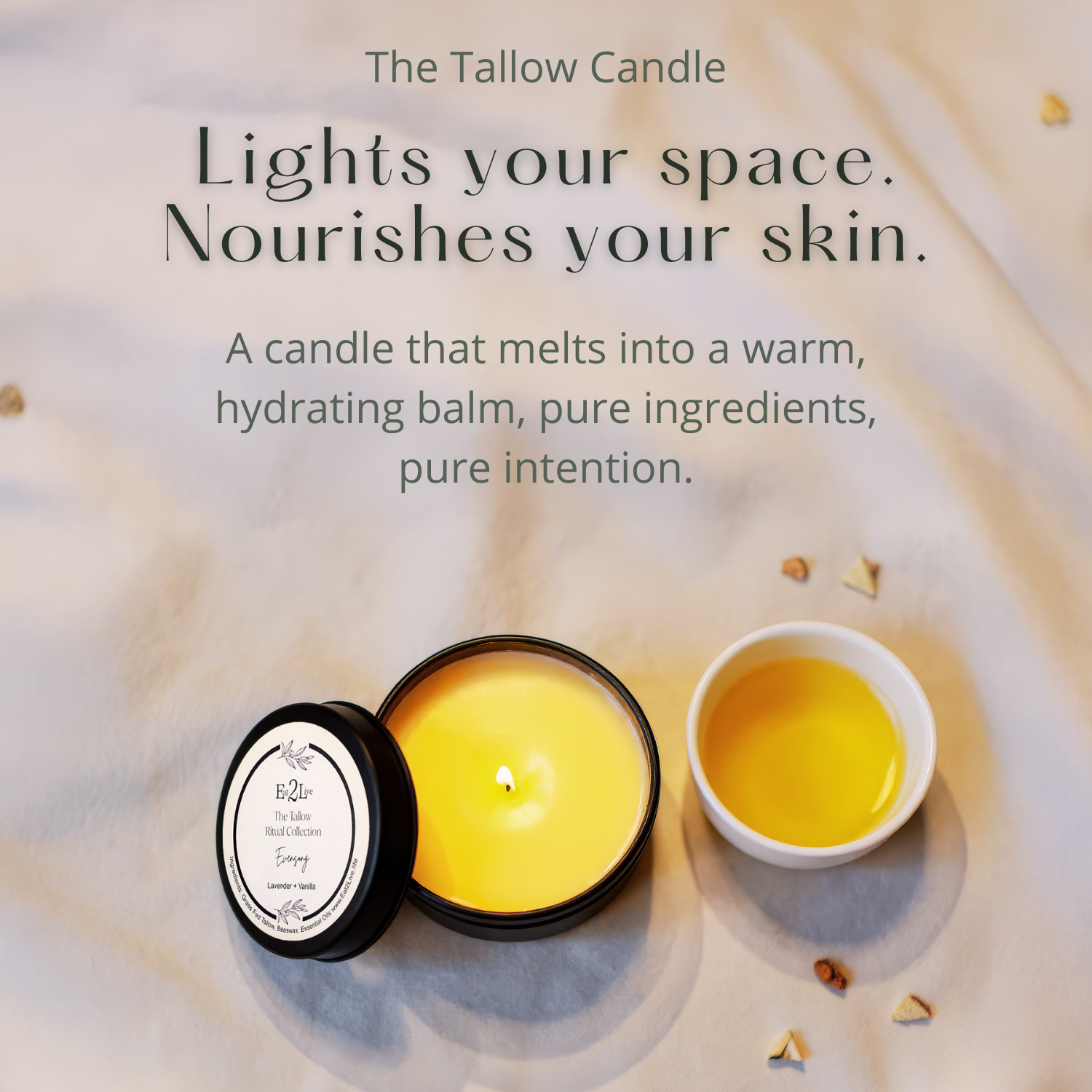 Evensong — The Tallow Candle - Eat 2 Live