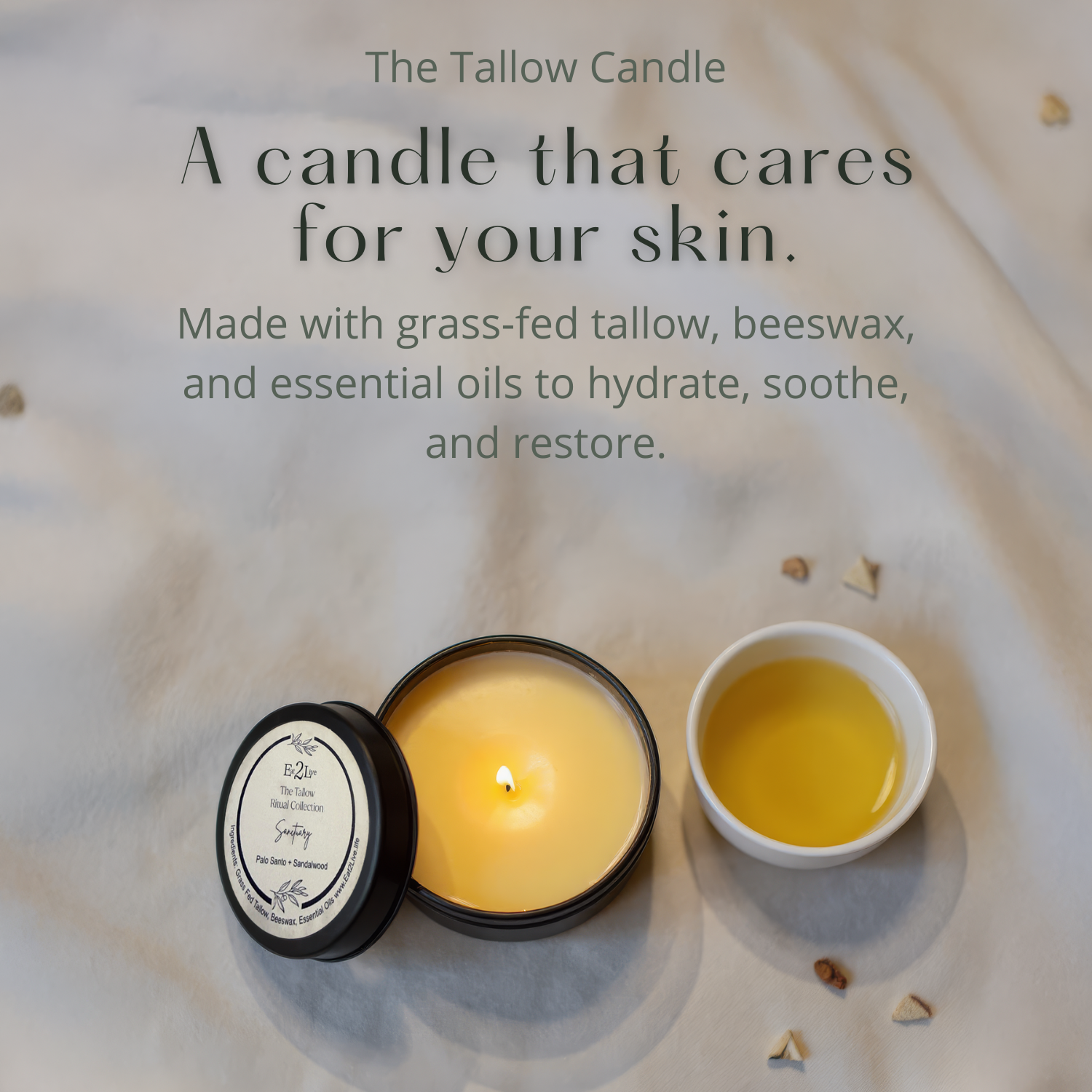 Sanctuary — The Tallow Candle - Eat 2 Live